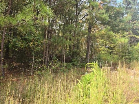 Two Acre Wooded Homesite