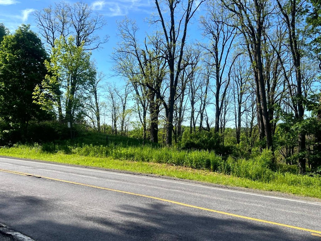 Picture 20