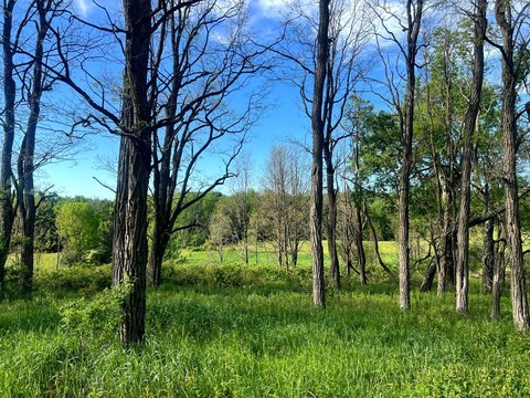 12 Acres in New Berlin