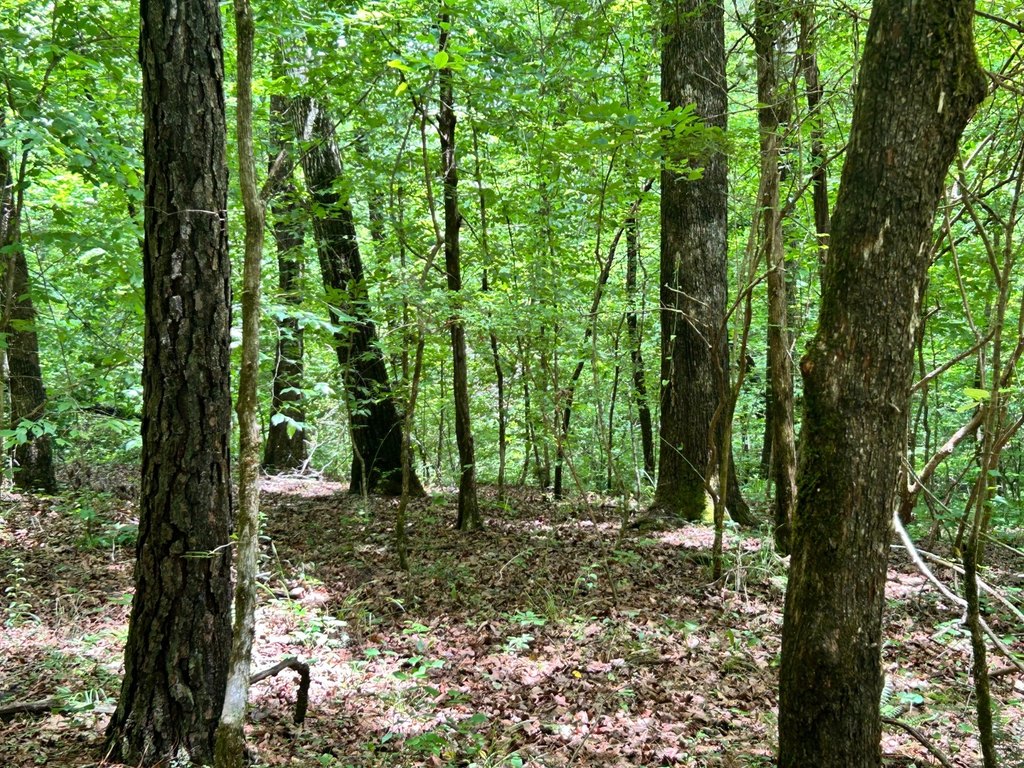 Picture 29