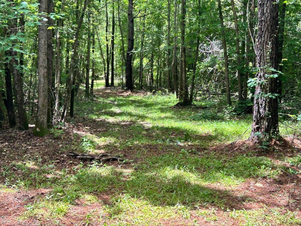 Picture 28