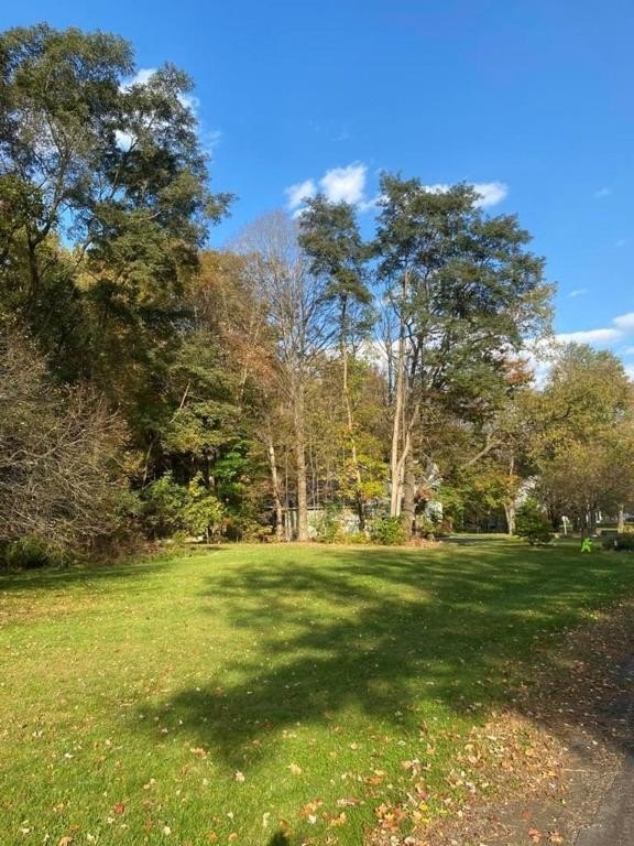 Residential Land in Horseheads, NY