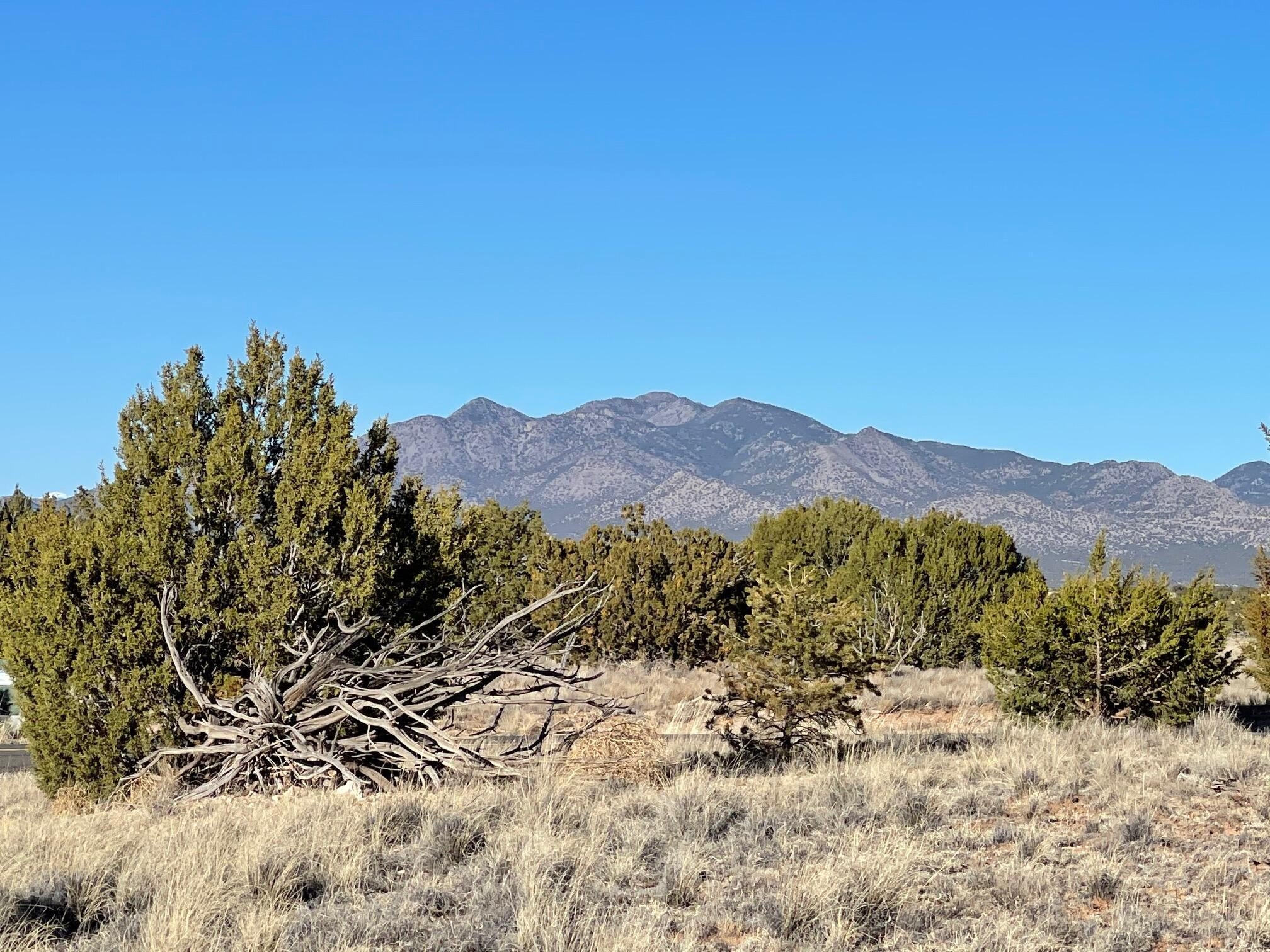 Sandia Park Land with Views