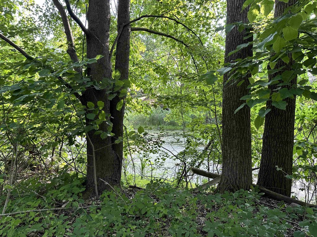 Picture 7