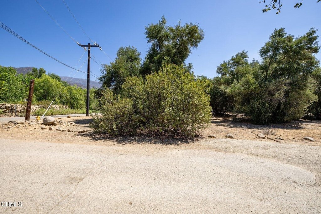Picture 21