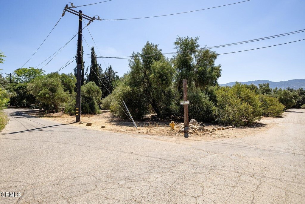 Picture 23