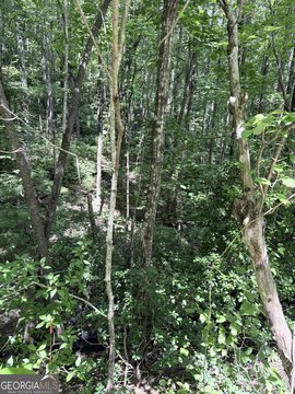 LAND - Clayton, GA