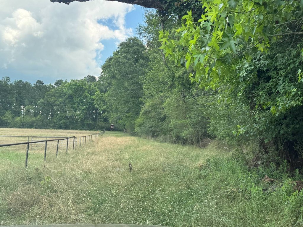 Picture 3