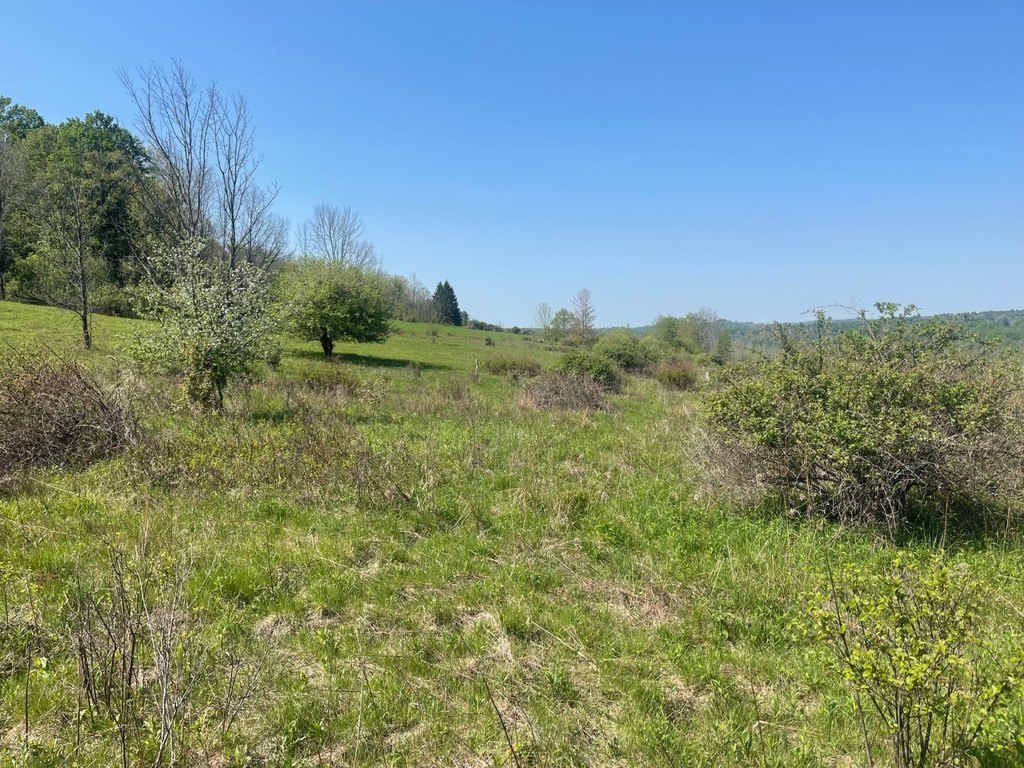 Picture 25