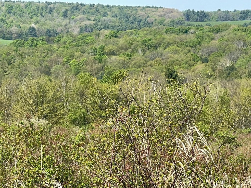 Picture 4