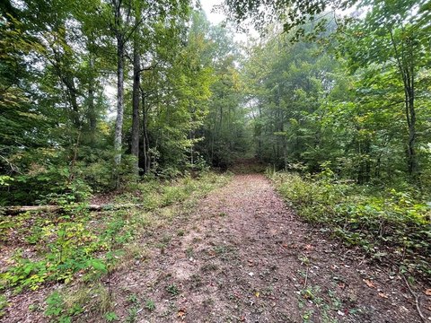 Whittier, NC Land For Sale