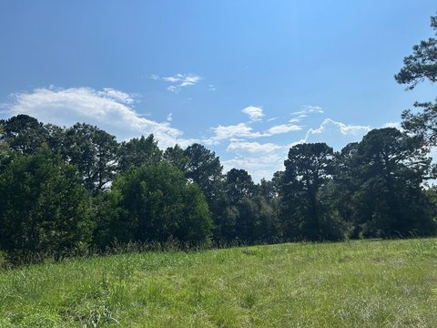 68 Acres Near Tallahoma Creek