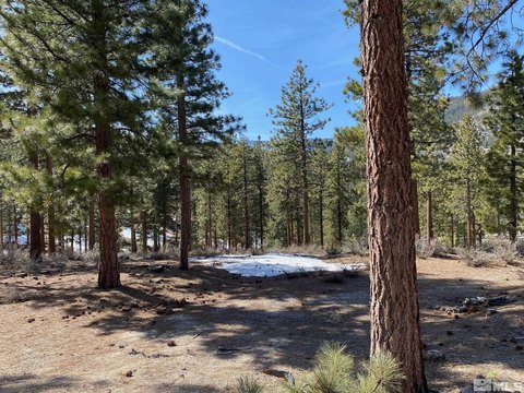 Private Homesite with Mountain Views
