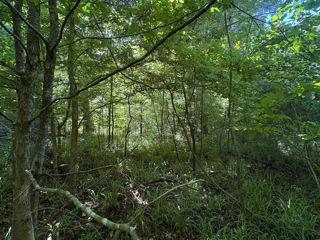 Picture 13