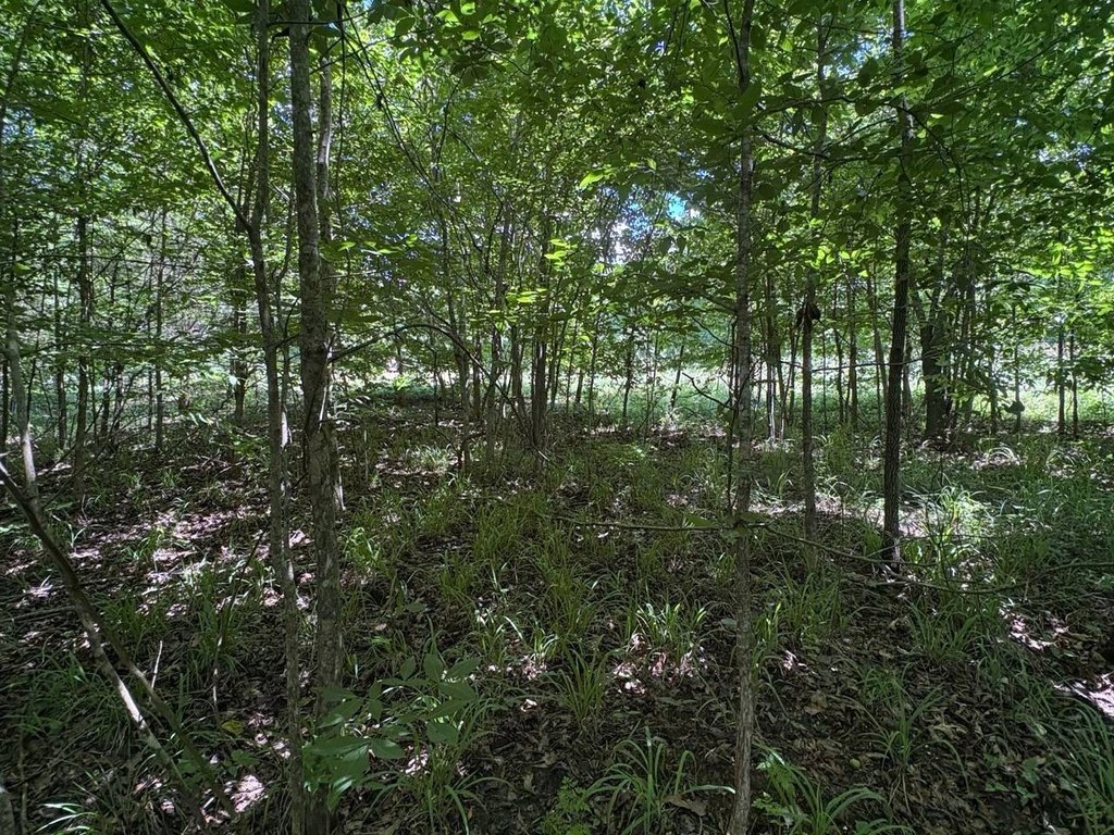 Picture 12