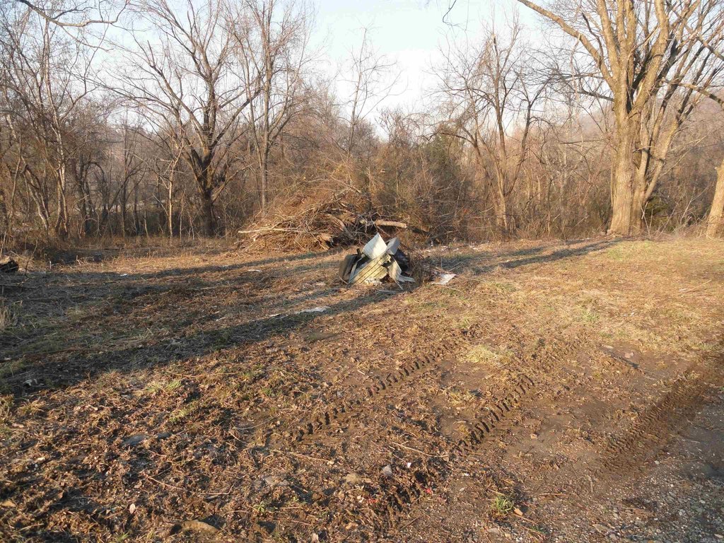 Picture 6