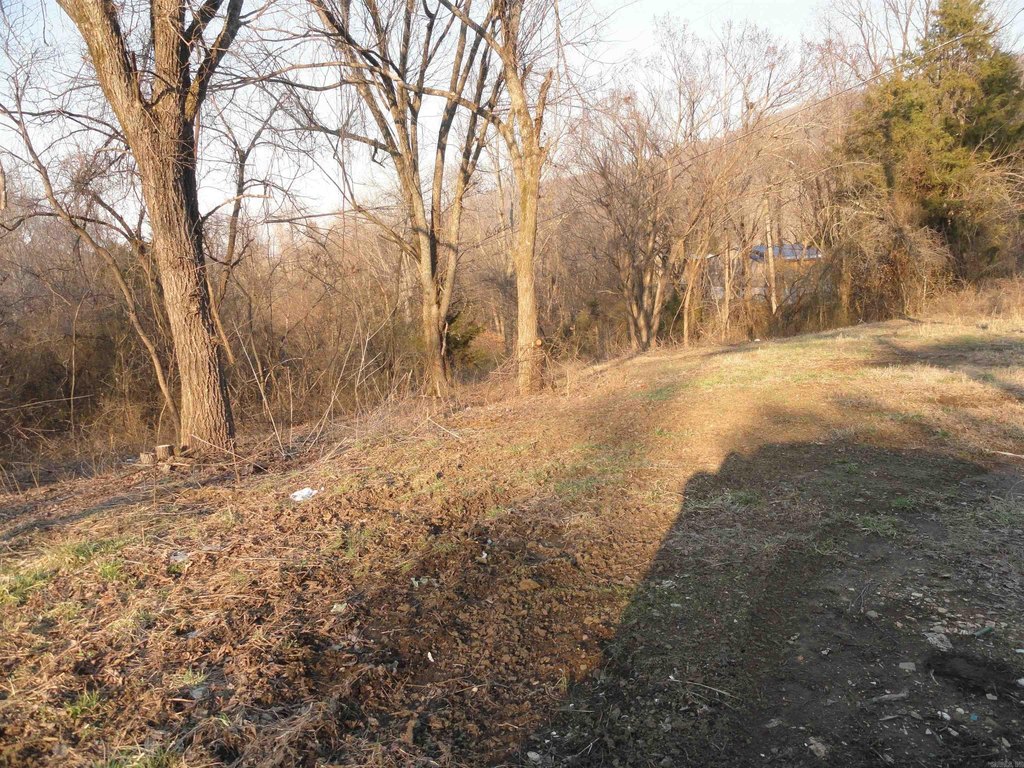 Picture 3
