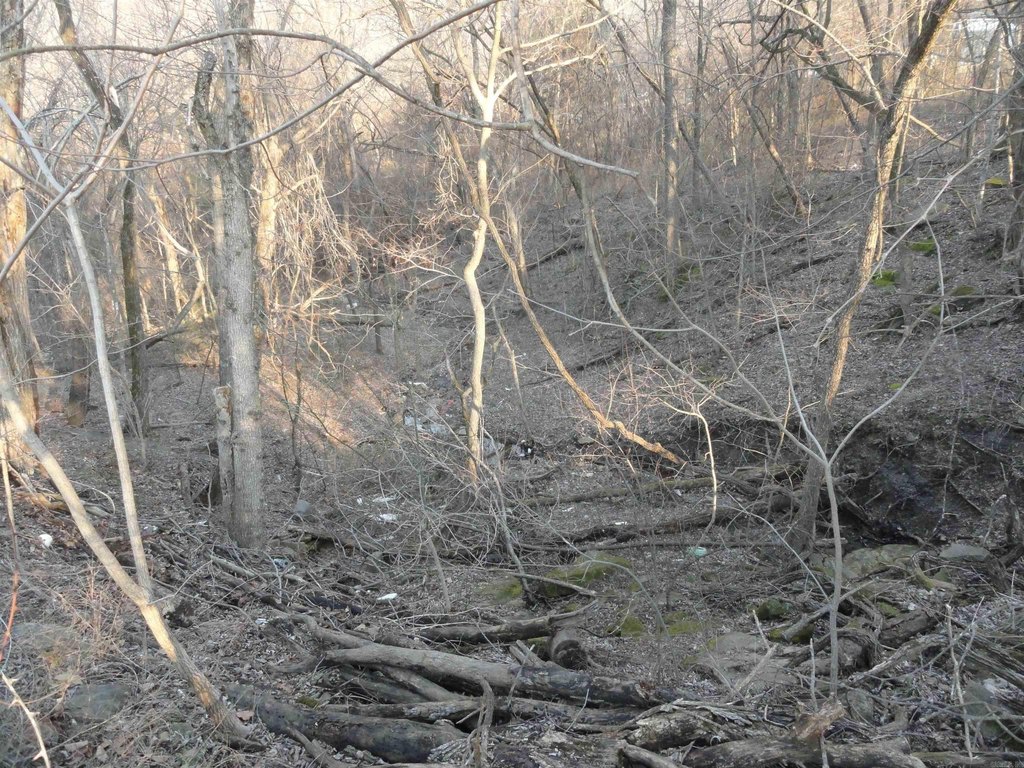 Picture 17
