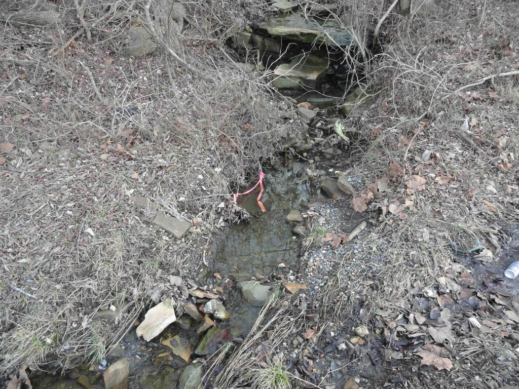 Picture 11
