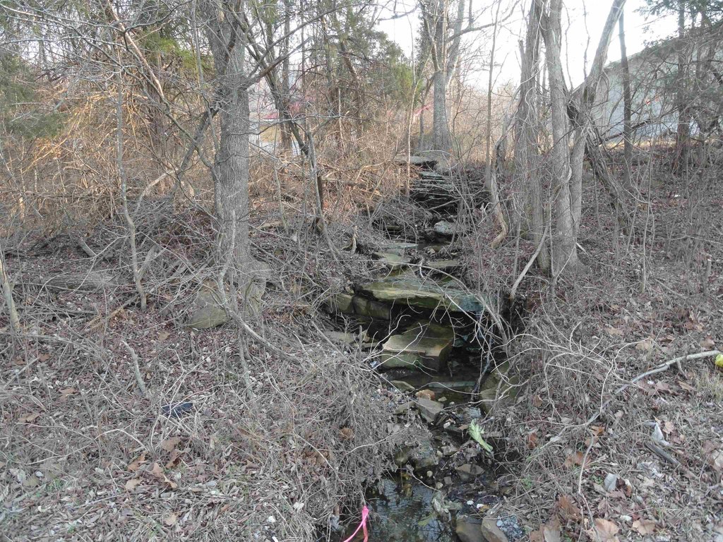 Picture 12