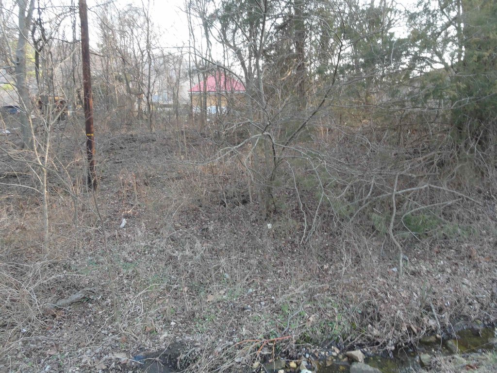 Picture 14
