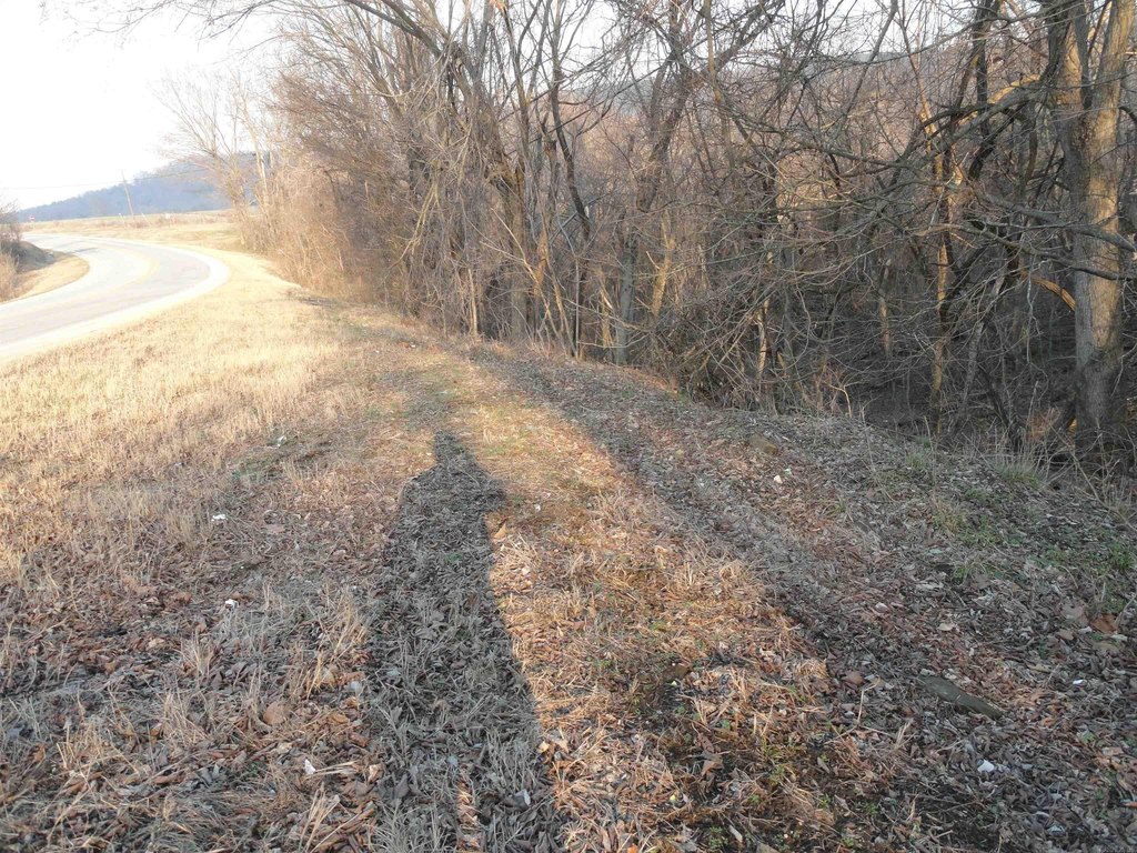 Picture 16
