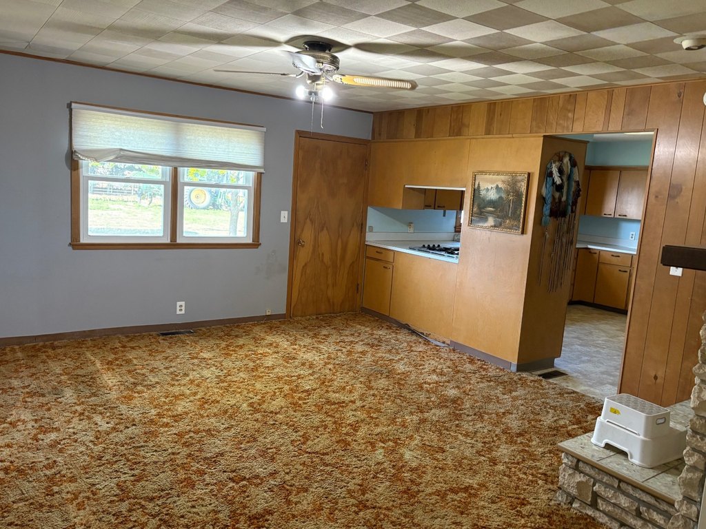 Picture 9