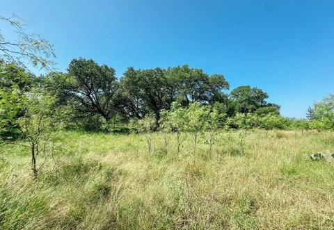 Gated Farmland Tract with Trees