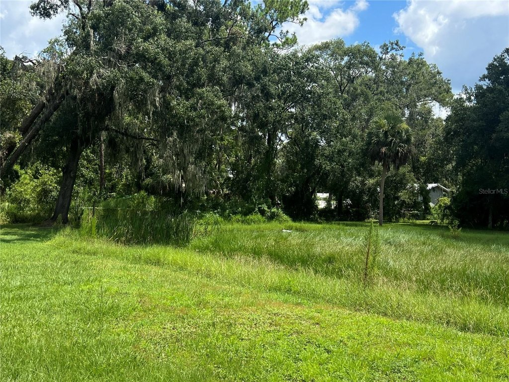 Picture 24