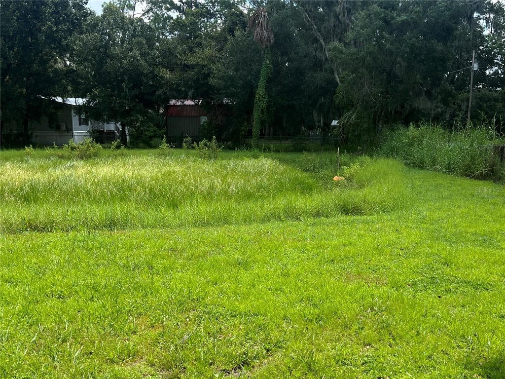 Picture 23