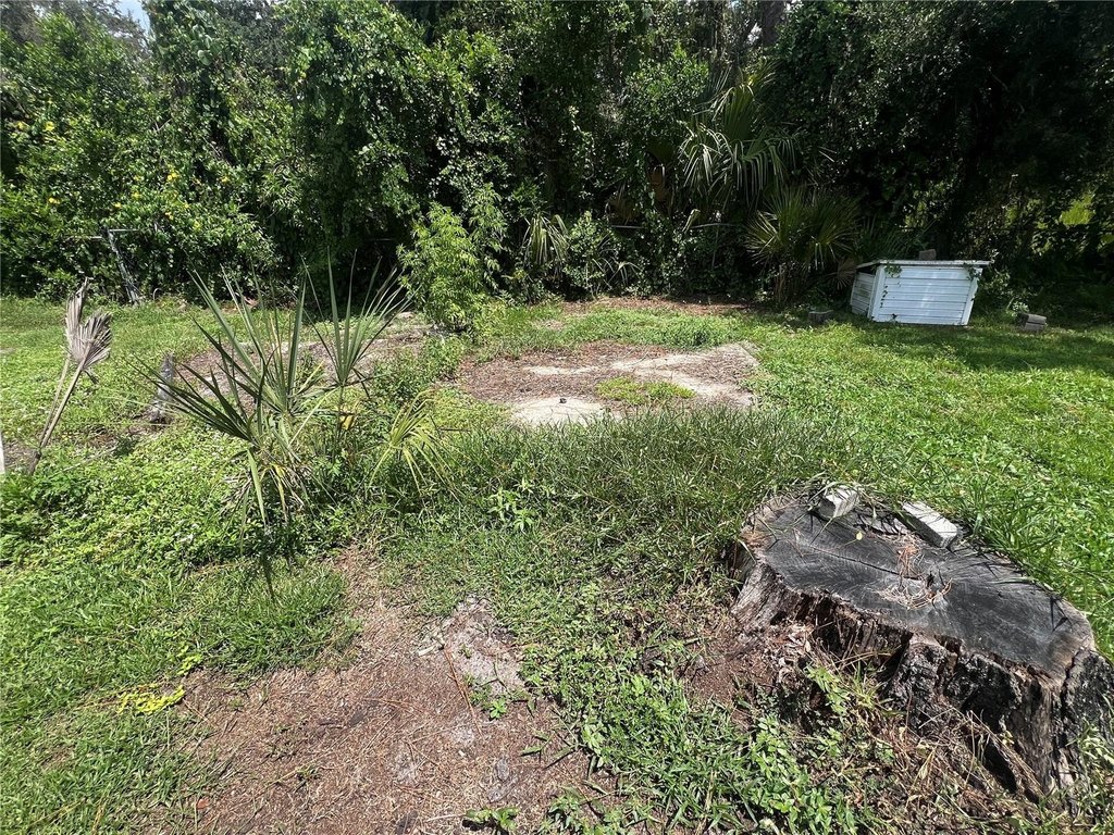 Picture 11