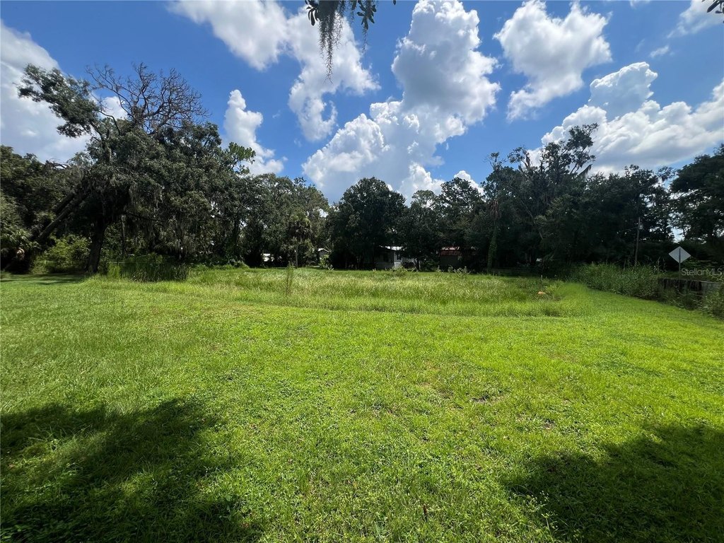 Picture 21