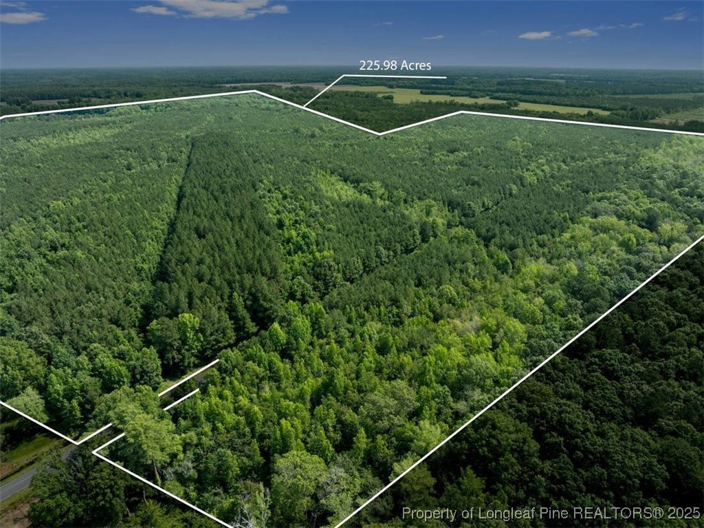 235 Acres Hunting Land, Wade