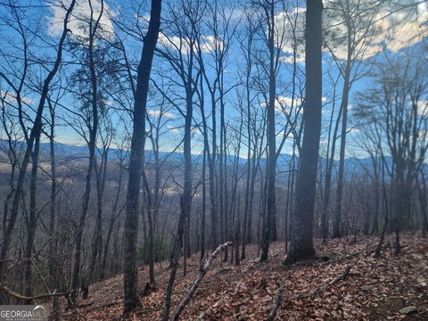 Blairsville Land with Mountain Views