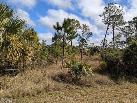 LAND - Lehigh Acres, FL