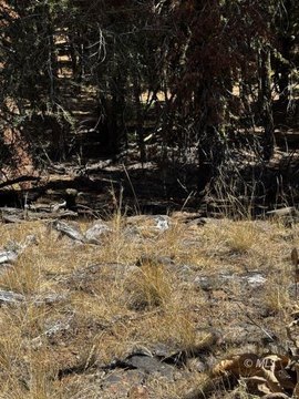 Vacant Land, Alturas, CA