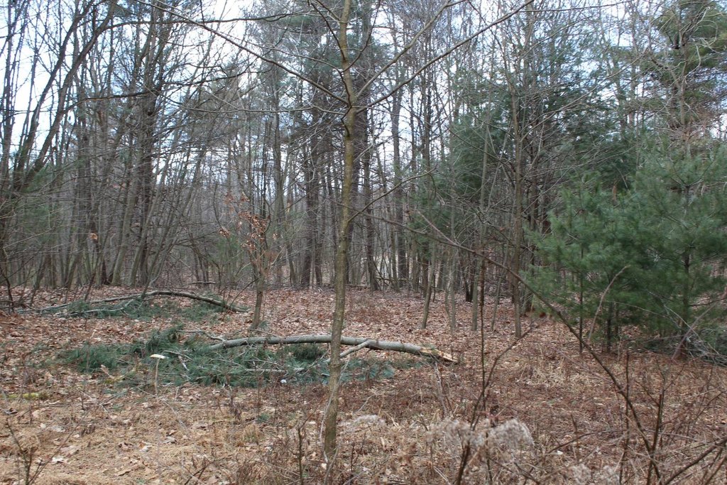 Picture 5