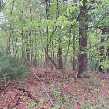 Land, Huntingdon, PA