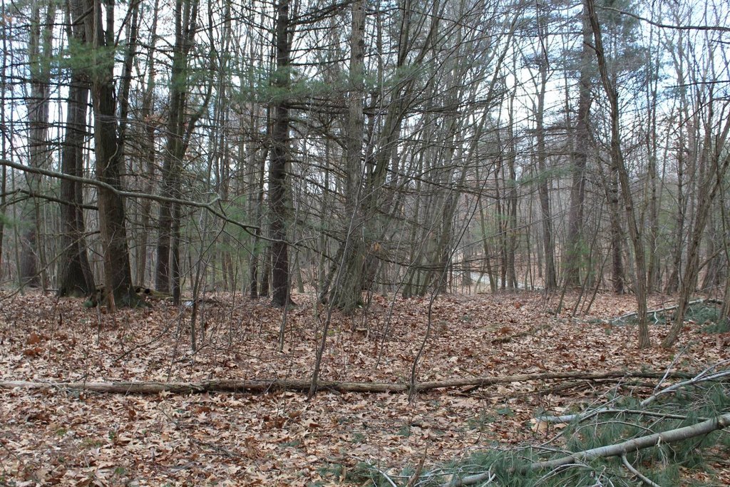 Picture 4