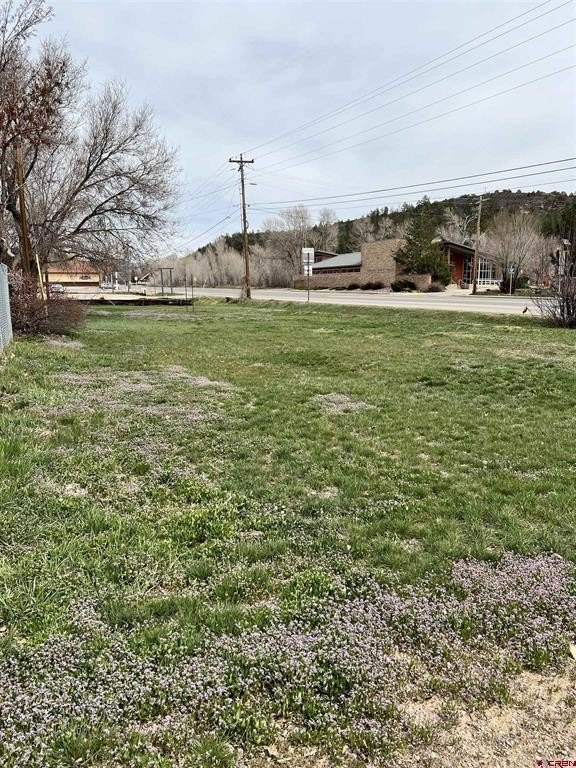 Land in Dolores, Colorado
