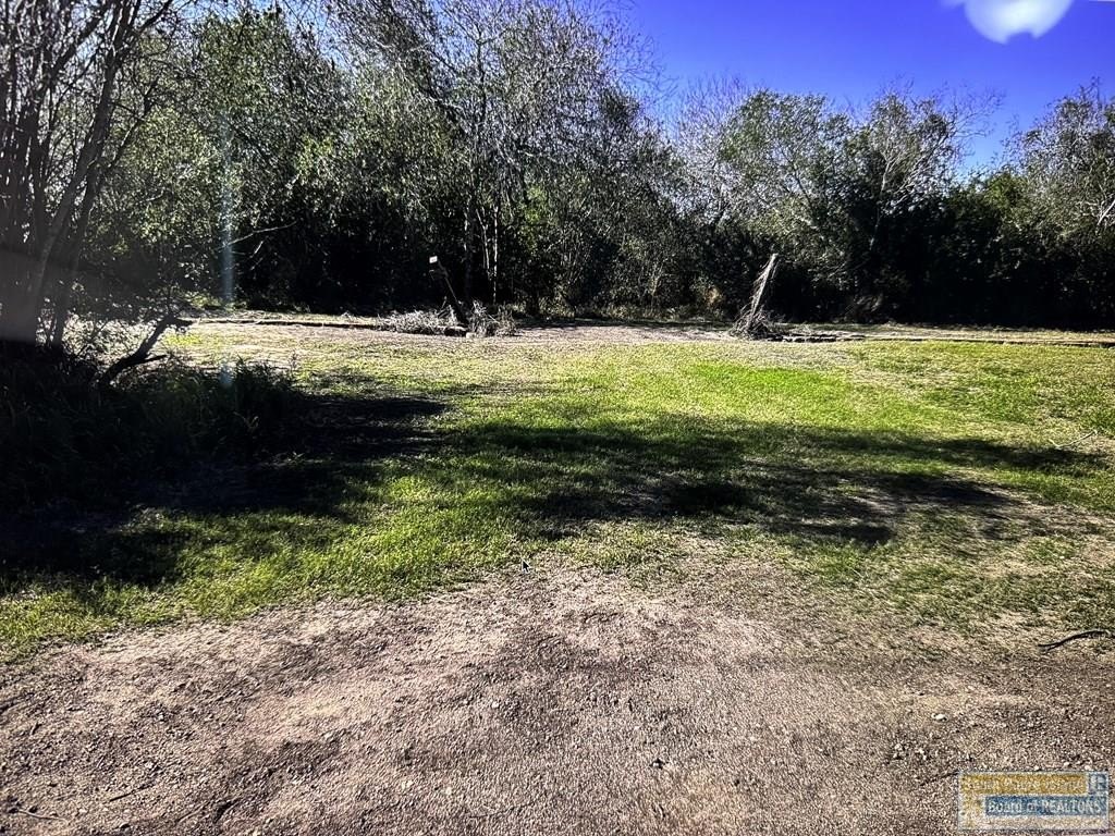 Picture 2