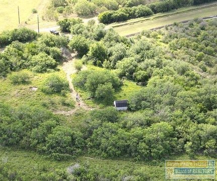Residential Home Lot with Trees