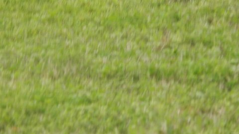 Residential Lot in Hensley, AR