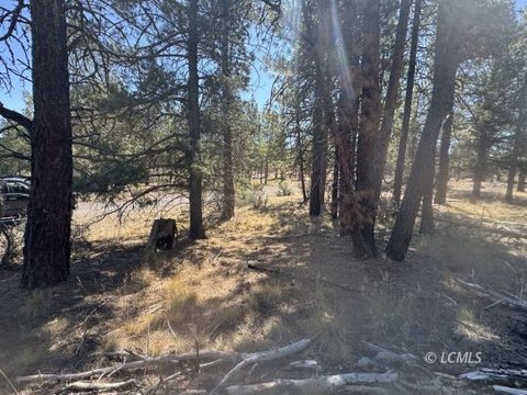 Buildable Land in Chiloquin, Oregon