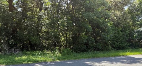 Residential Homesite with Views