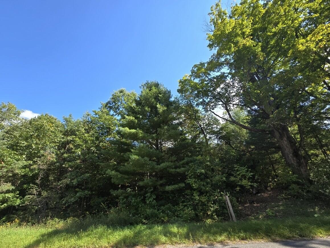 LAND - Luther, MI