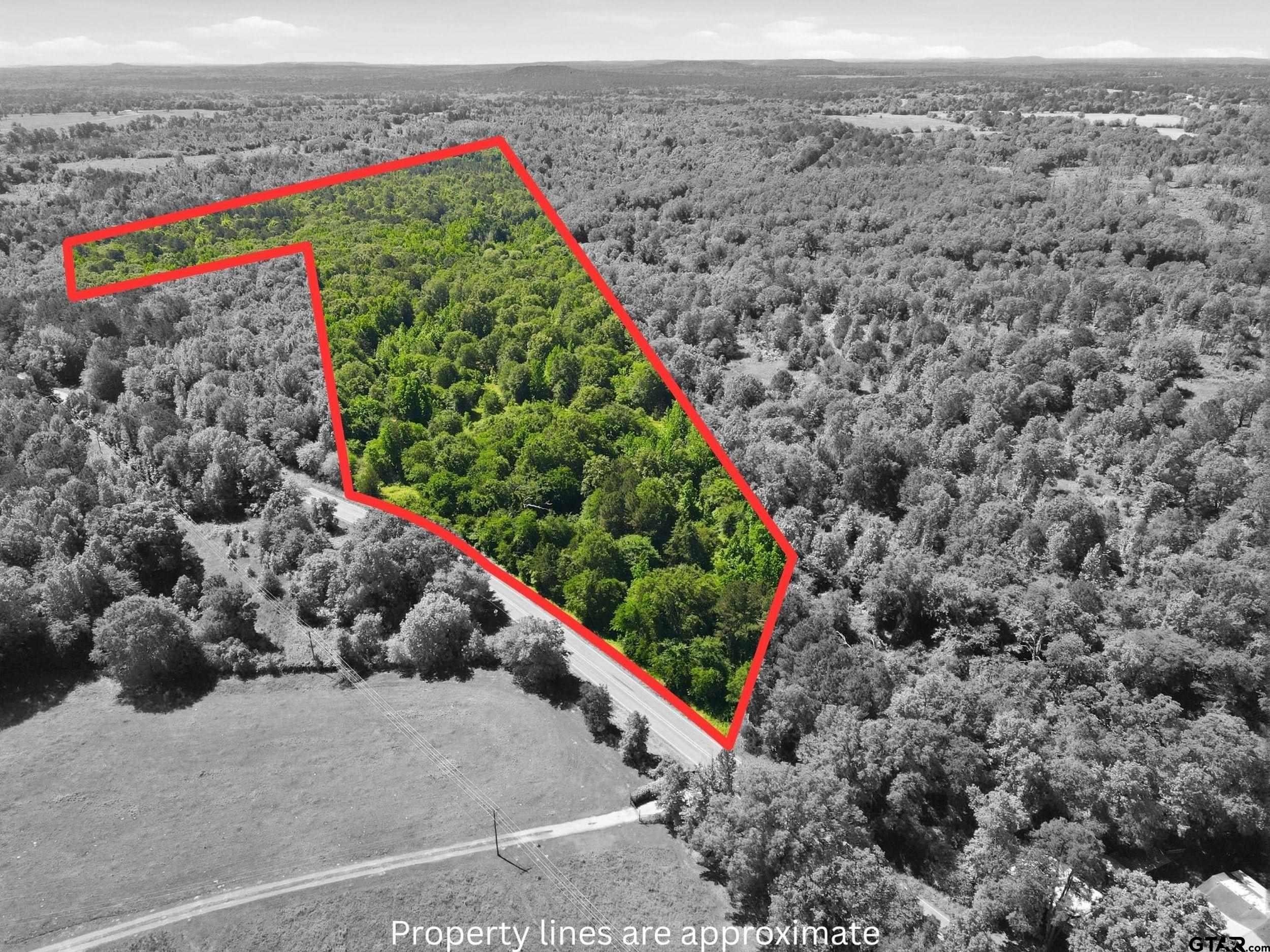 Rural Wooded Acreage in Pittsburg, TX