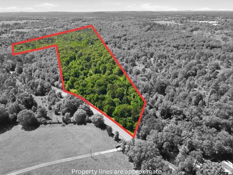 Rural Wooded Acreage in Pittsburg, TX
