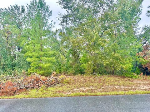 Vacant Land in Ocala, Florida
