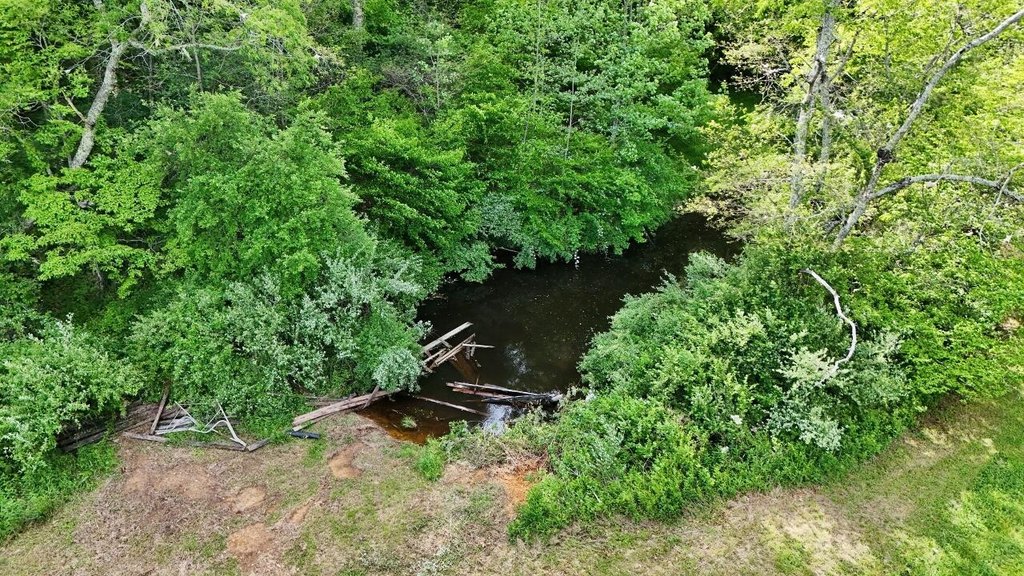 Picture 2
